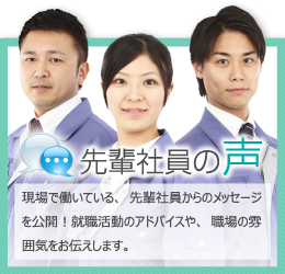 先輩社員の声